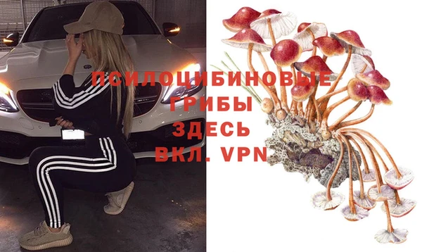 прущая мука Алзамай