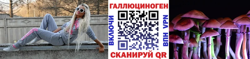 Галлюциногенные грибы Psilocybe  как найти   Навашино 